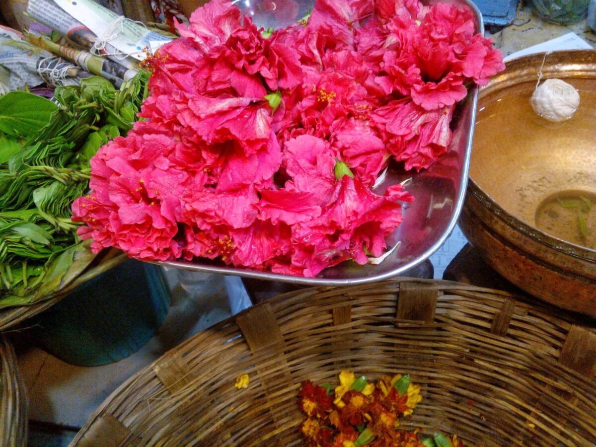 Bloom, ganesh, flower, offering