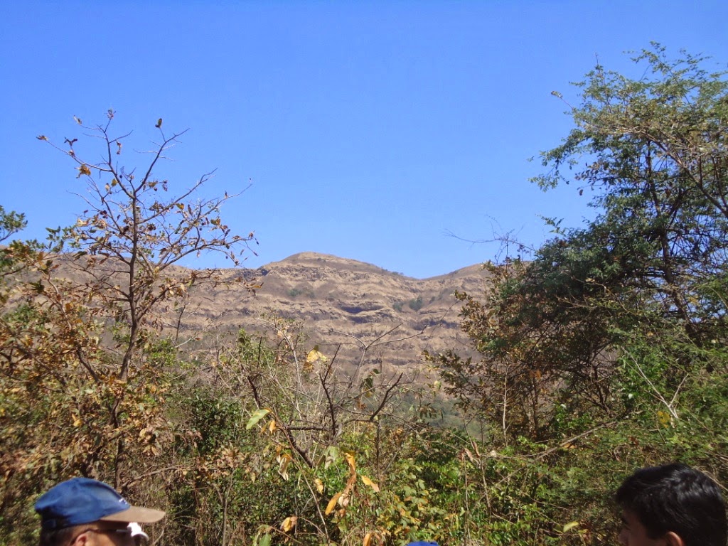 Dam, water, sacred groves, forests