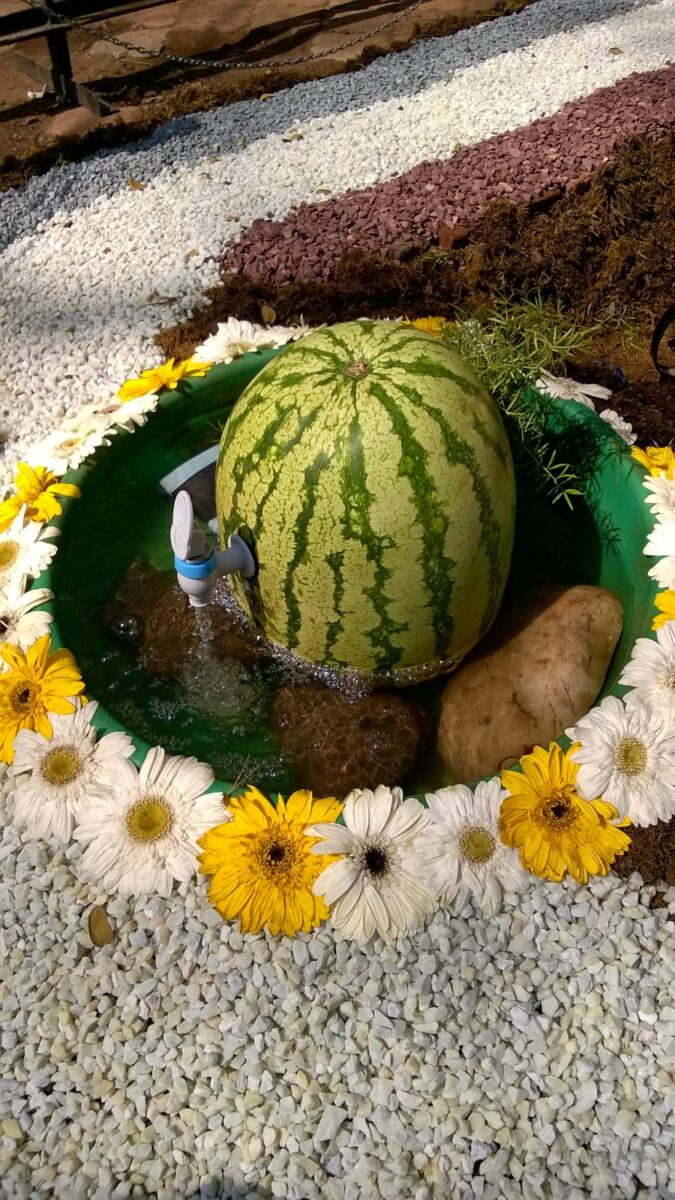 pune, gardens, water melon