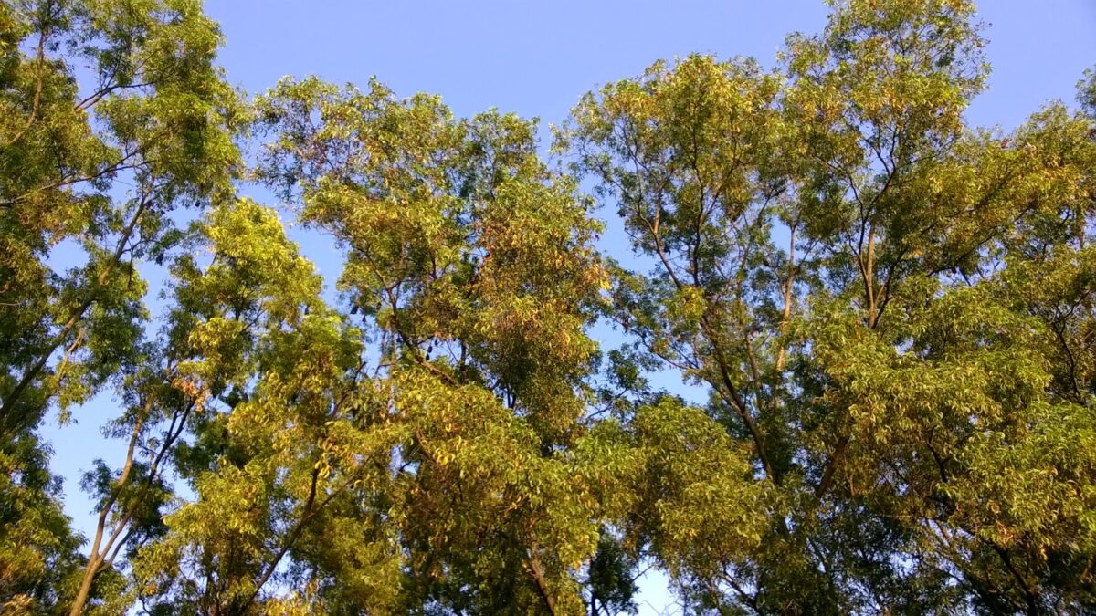 Jogging track, Pune