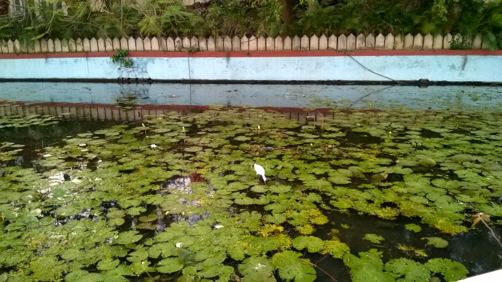 Pune gardens, Sarasbag