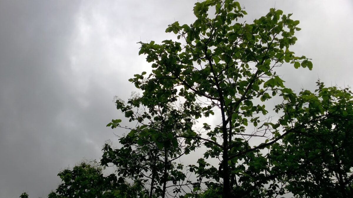 Pune, rain, clouds, Sag