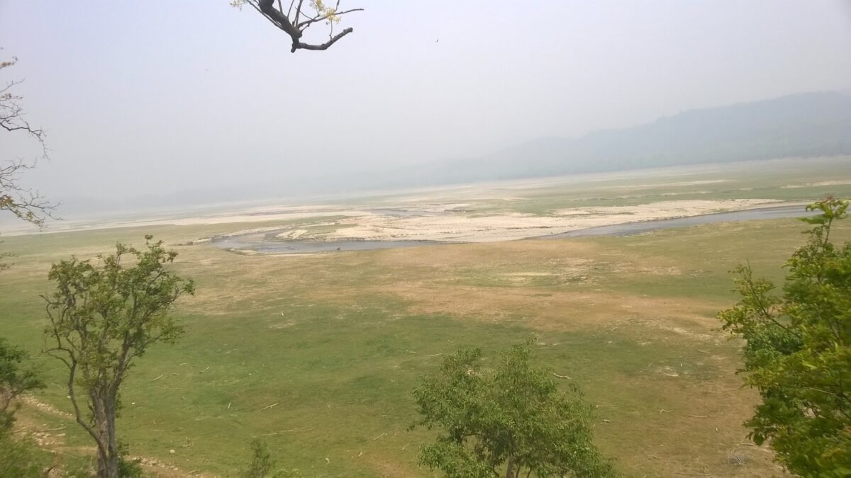 Project Tiger, Ramganga river, Dhikala