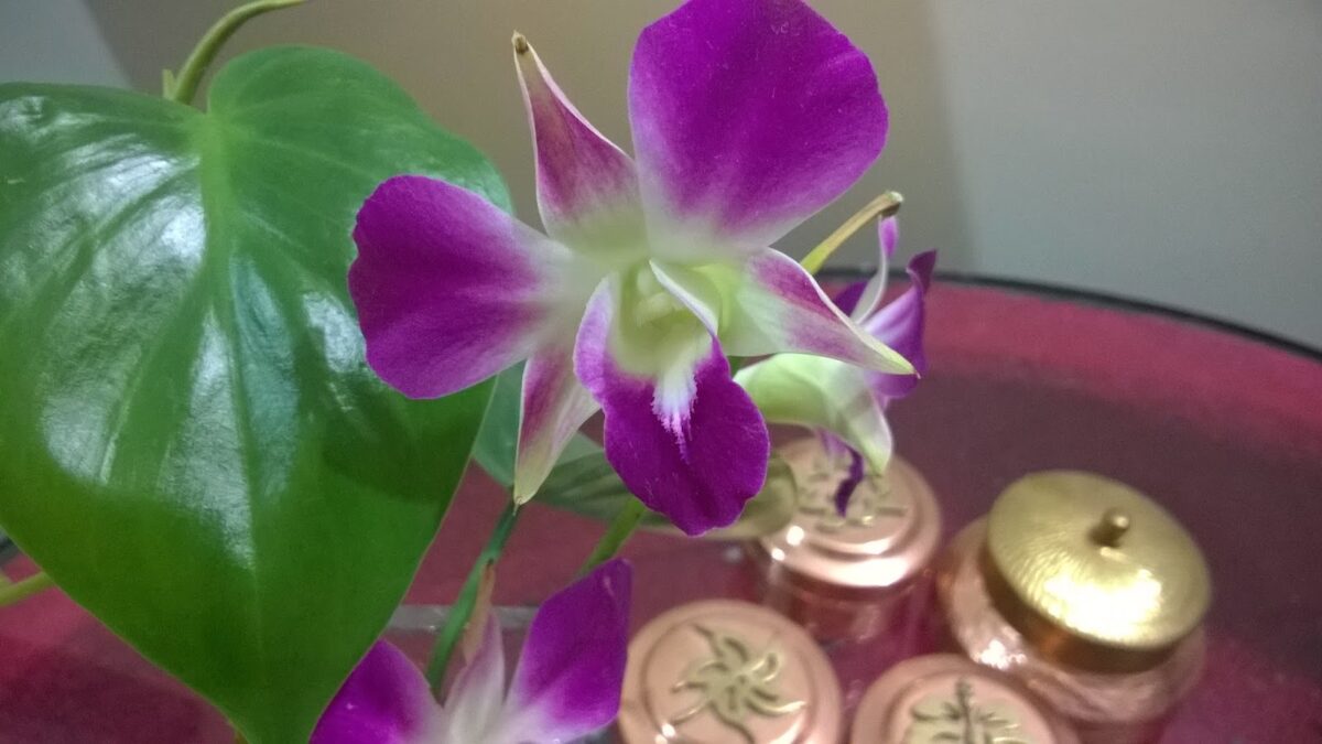 Flower arrangement, Pothos, Orchid