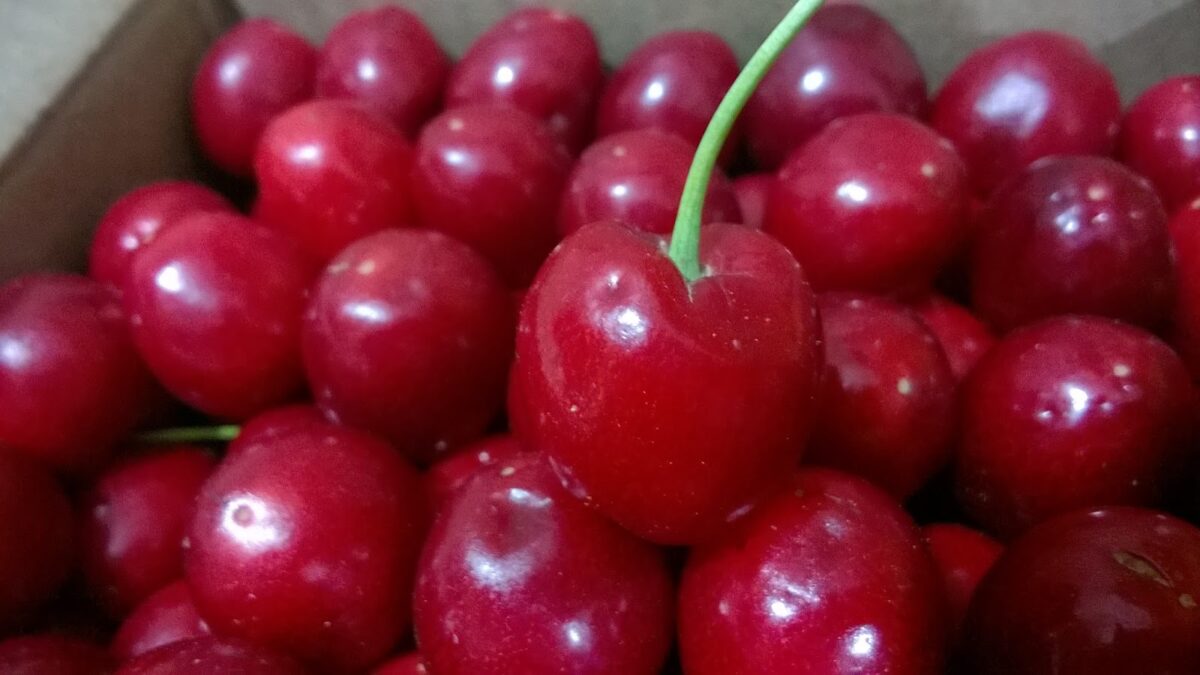 Cherries, Red, Summer