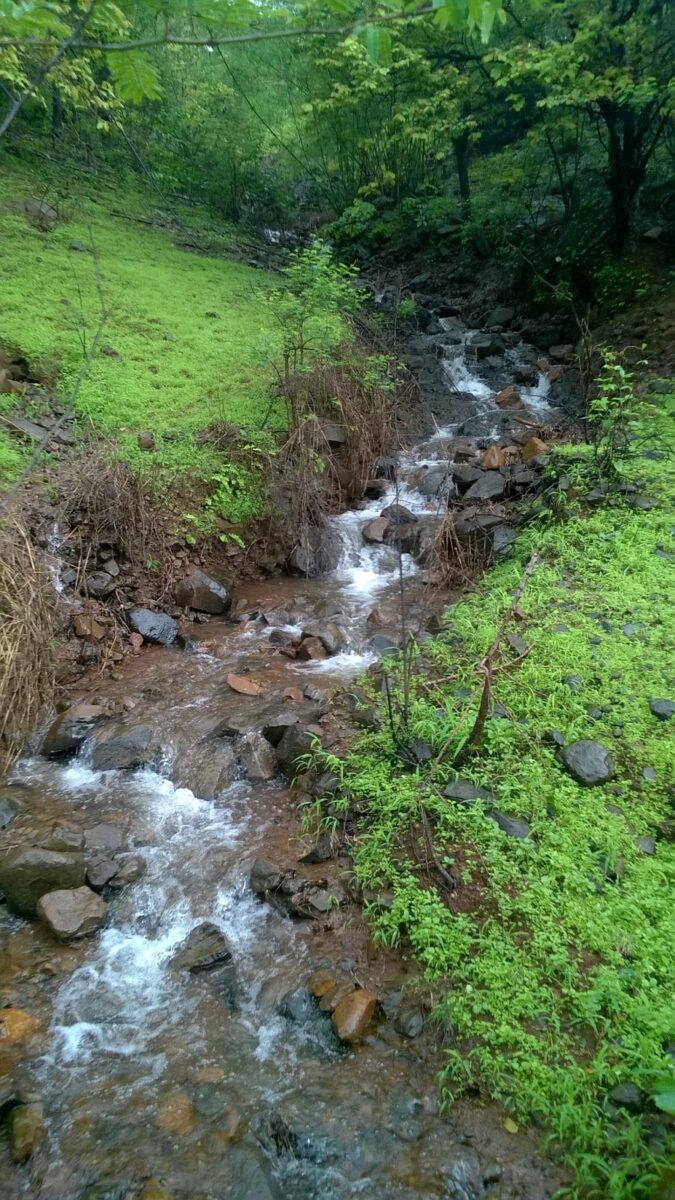 Pune, monsoon, lakes, waterfall