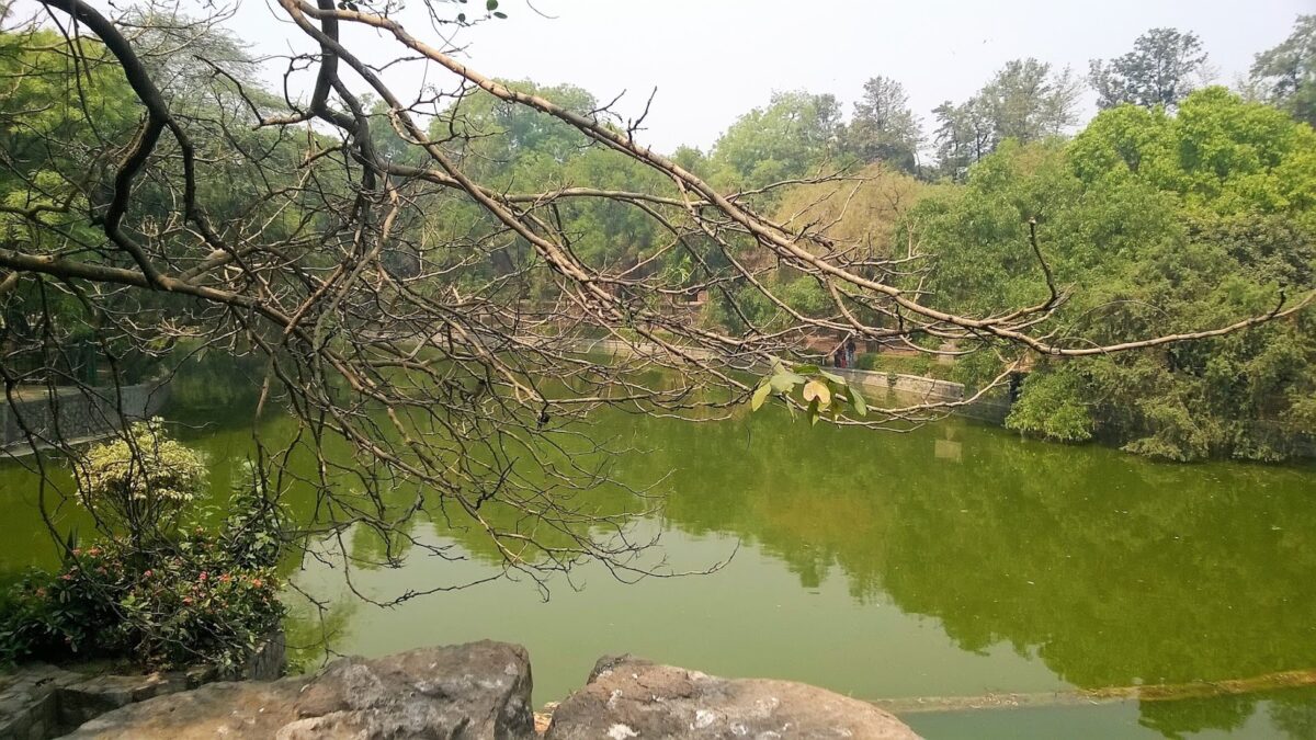 Pond, New Delhi, Lodhi Garden