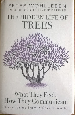 Peter Wohlleben, trees, book