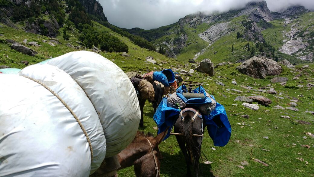 Hampta Pass, trek