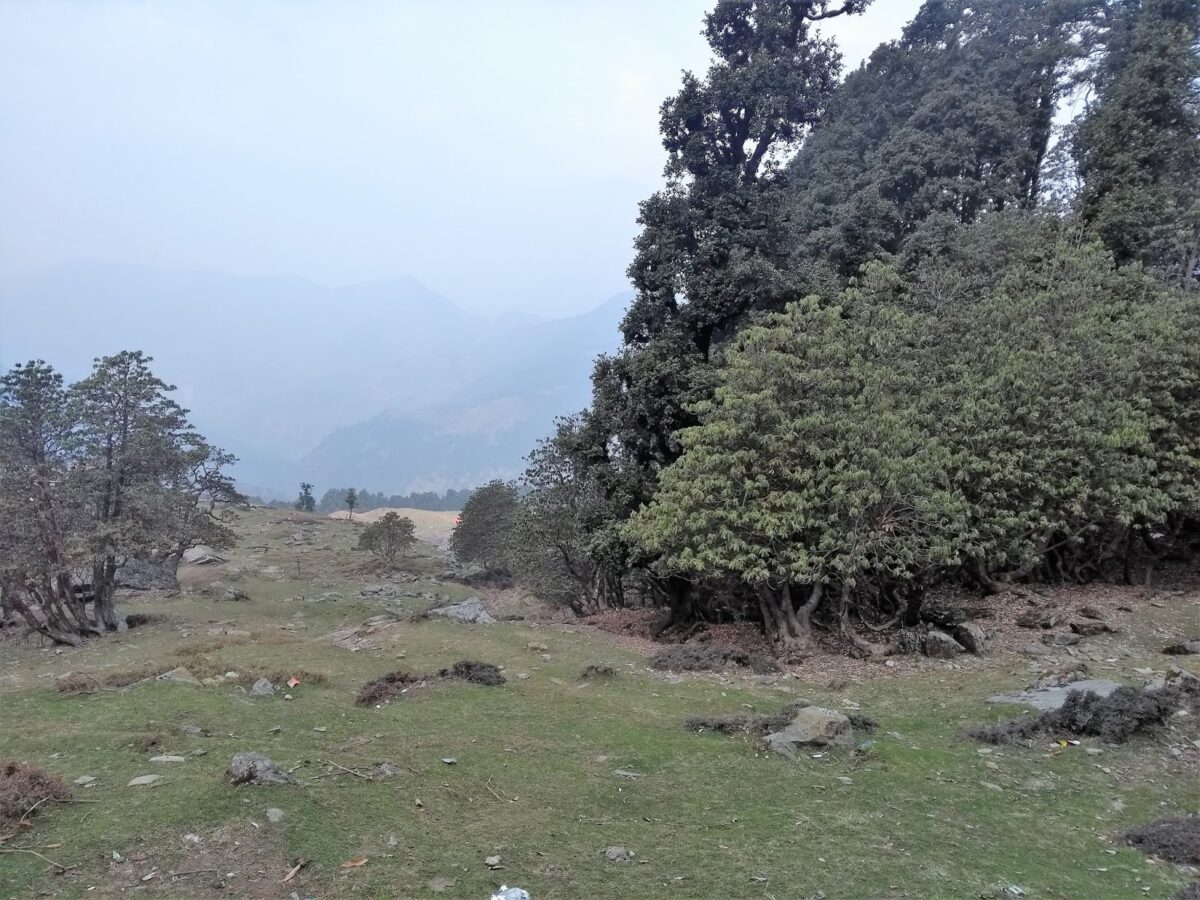 Uttarakhand, Chopta, Trek