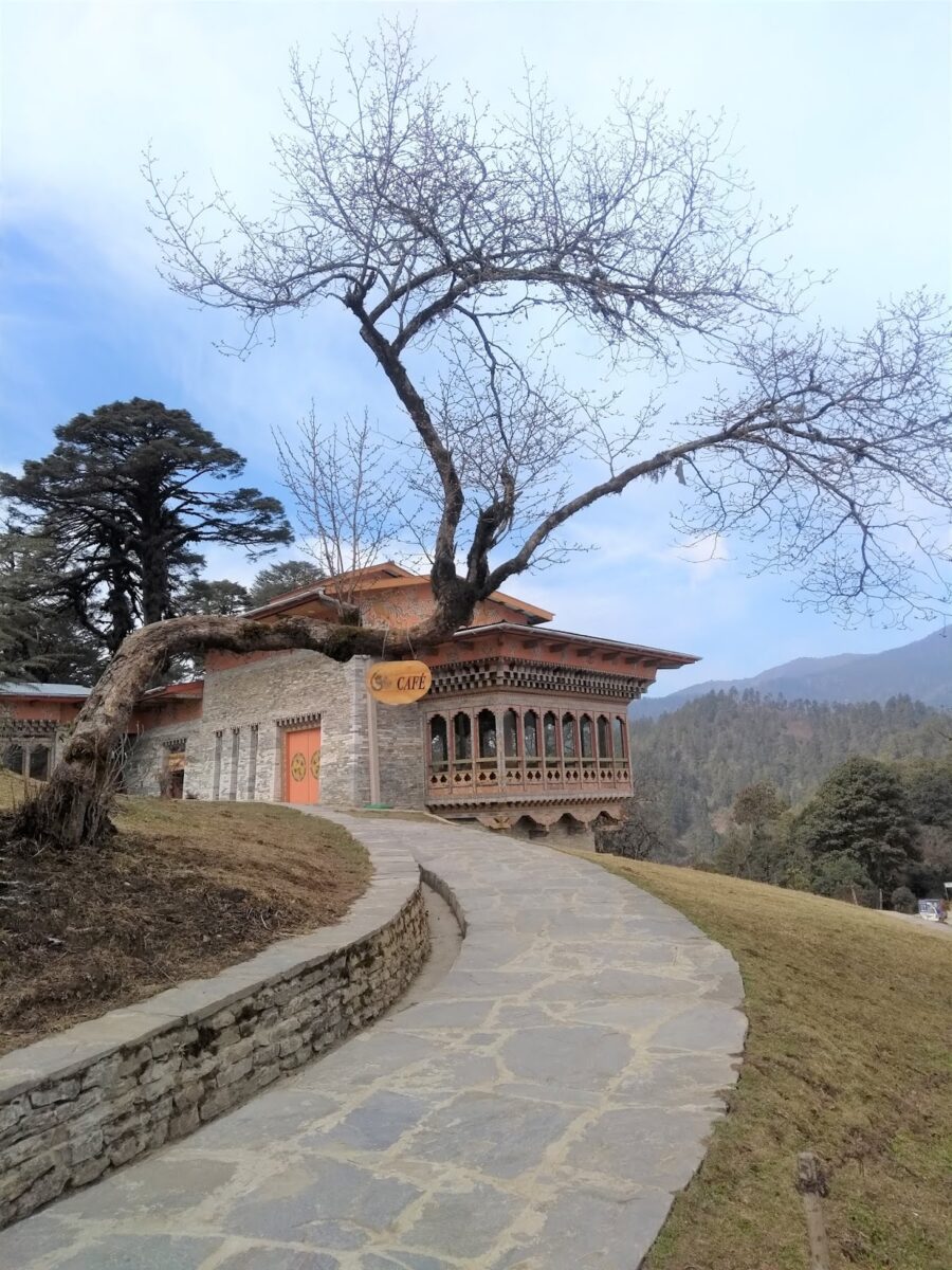 Paro Bhutan Tree Flora
